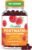 Lifeable Postnatal Multivitamin with Iron, Choline and Iodine | Great Tasting Postnatal Vitamins for Women Breastfeeding | Vegetarian Non-GMO Lactation Supplement | 90 Gummies